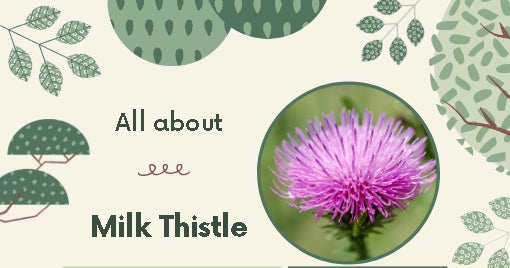 St Marys Thistle Mini ebook